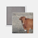 Search for licking magnets Cow