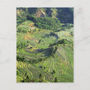 Search for cropped postcards Nobody