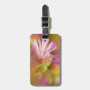 Search for fragile luggage tags Close up