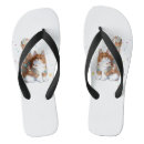 Search for cat shoes Modern