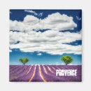 Search for valensole Provence