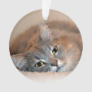 Search for long haired cat christmas tree decorations Grey