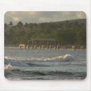 Search for the pacific ocean electronics Tropical
