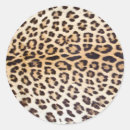 Search for cat design stickers Fashion