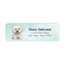 Search for bichon frise return address labels White