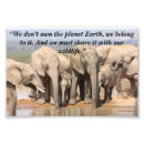 Search for herd art Wildlife