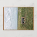 Search for tanzania postcards Serengeti