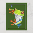Search for tree frogs postcards Watercolor