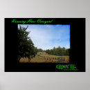 Search for vineyard posters Grapes