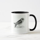 Search for galapagos islands mugs School