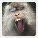 Search for yawning stickers Close up