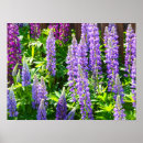 Search for blumen art Pink