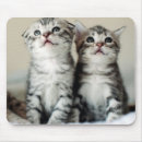 Search for beijing mousepads Photography