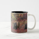 Search for arctos mugs North america