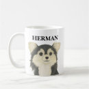 Search for long haired mugs Chihuahua