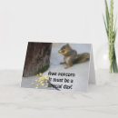 Search for bushi cards Squirrel
