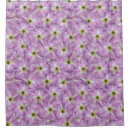 Search for convolvulus Flower