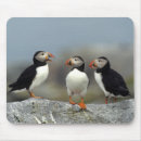 Search for atlantic islands electronics Canada