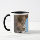Search for collared mugs Close up