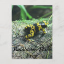 Search for bumblebee postcards Yellow
