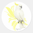 Search for sulphur stickers Bird