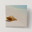 Search for shell beach badges Ocean