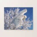 Search for snowy owl puzzles Animals