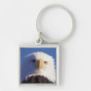 Search for bird of prey key rings Patriotic