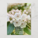 Search for mountain laurel flower postcards White