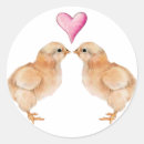 Search for chicken design stickers Illustration