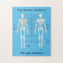 Search for human skeleton puzzles Anatomy