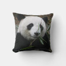 Search for giant panda cushions Bear