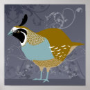 Search for california quail art Nature