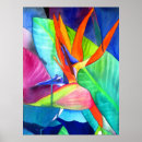 Search for bird of paradise art posters Watercolor