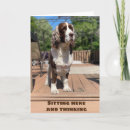Search for january birthday cards Dog