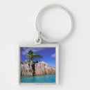 Search for seychelles key rings Palm tree
