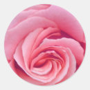 Search for complex stickers Abstract