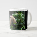 Search for small monkey photography Animal