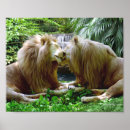 Search for affectionate posters Animals