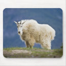 Search for wild one mousepads Outdoor