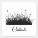 Search for cattails Grass