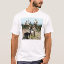 Search for whitetail tshirts Deer