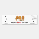 Search for duck tolling bumper stickers Nova