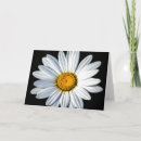 Search for shasta cards Flower