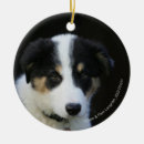 Search for border collie puppy christmas tree decorations Bob and pam langrish