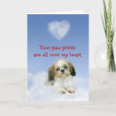 Search for shih tzu cards Shitzu
