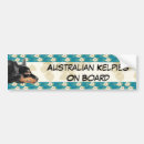 Search for tan bumper stickers Pet