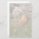 Search for robin stationery paper Bird