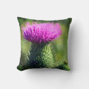 Search for thistle cushions Flower