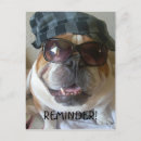 Search for veterinary reminder postcards Dog